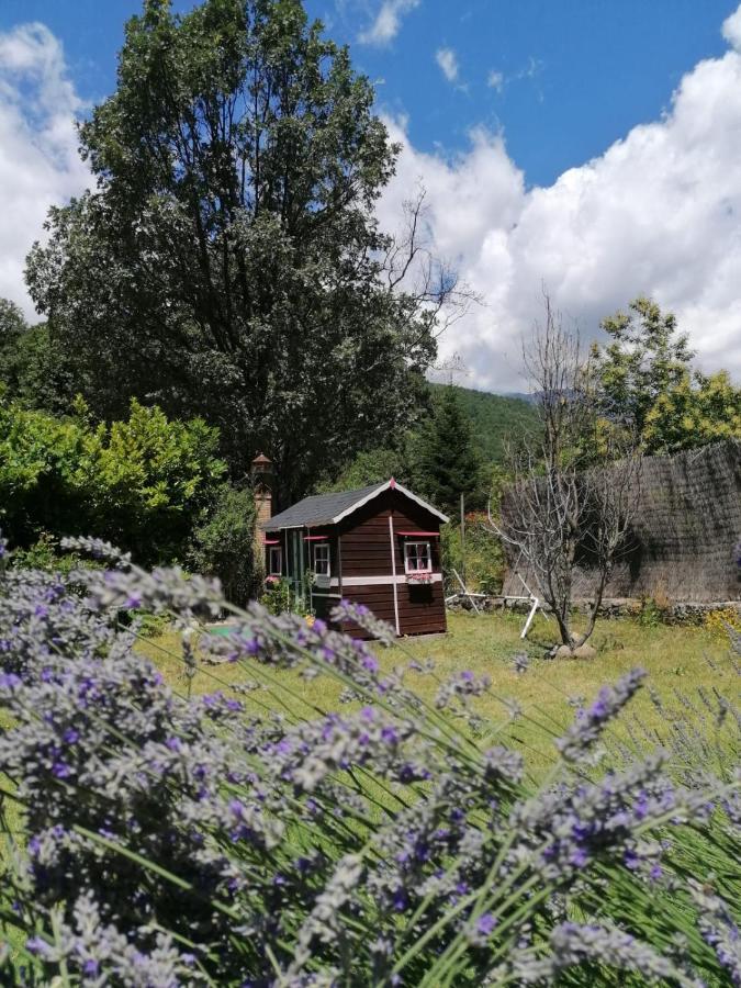 Hotel Rural El Marquesito Antigua Casa Carmela アレーナス・デ・サン・ペドロ エクステリア 写真