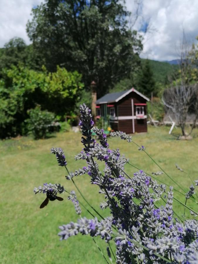 Hotel Rural El Marquesito Antigua Casa Carmela アレーナス・デ・サン・ペドロ エクステリア 写真