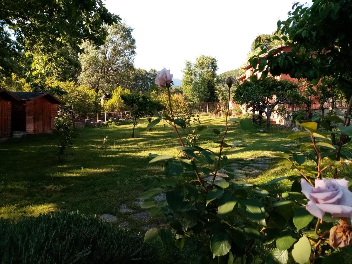 Hotel Rural El Marquesito Antigua Casa Carmela アレーナス・デ・サン・ペドロ エクステリア 写真